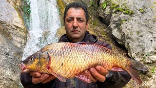 3 CARP WATERFALL AND FRESH AIR THE PERFECT COMBINATION FOR THE BEST LUNCH [upl. by Nivak389]