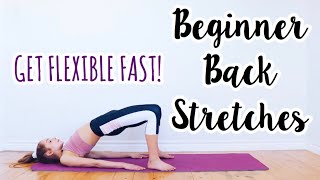 Back Stretches for the Inflexible Beginner Flexibility Routine [upl. by Dewhirst]