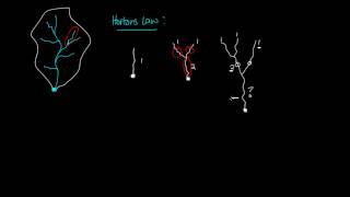 Hydrology Hortons Law amp Drainage Density [upl. by Yort12]