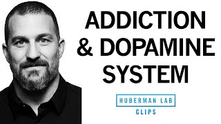 Addiction Explained Rises amp Falls in Dopamine  Dr Andrew Huberman [upl. by Alaunnoif664]