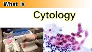 What is Cytology   Clear amp Complete Overview [upl. by Viradis]