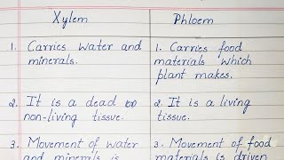 Difference between Xylem and Phloem [upl. by Daryl836]