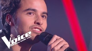 Stéphane Eicher – Déjeuner en paix Romain Blind Audition The Voice France 2020 [upl. by Lozano]