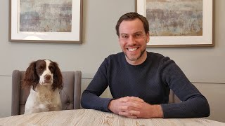 SPRINGER SPANIEL TRAINING TIPS [upl. by Radbourne]