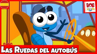 Bob Zoom  Las Ruedas del Autobús  Español [upl. by Anak]