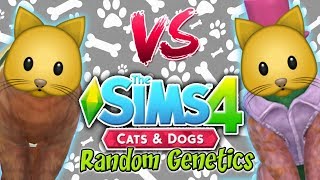 The Sims 4 Random Genetics CAT Challenge VS Yammy [upl. by Melak]