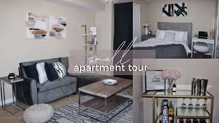 My Small Apartment Tour😭  AFFORDABLE Minimal  Modern Decor [upl. by Marshal]