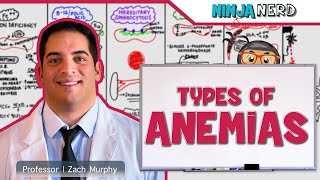 Hematology  Types of Anemias [upl. by Arola]