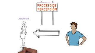 Sensación y Percepción [upl. by Martens]