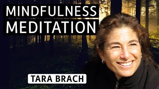 Meditation with Tara Brach Developing SelfCompassion [upl. by Green419]