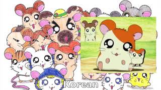 Hamtaro Ending Multilangauge Comparison [upl. by Releehw122]