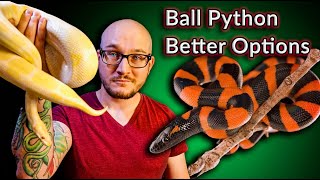 DO NOT Get A Ball Python These Snakes Are Better  Top 5 SURPRISING Ball Python Alternatives [upl. by Aennaej]