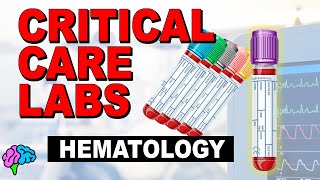 Hematology  Complete Blood Count CBC  Critical Care Labs [upl. by Fallon891]