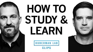 How to Study amp Learn Using Active Recall  Dr Cal Newport amp Dr Andrew Huberman [upl. by Fridell763]