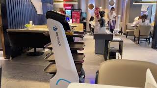 Food Delivery Robot T5 in a Restaurant in China [upl. by Koran]