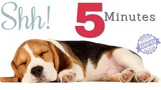 Sound To Make Your Dog Sleep within 5 Minutes  Dog Hypnosis [upl. by Hamrah]