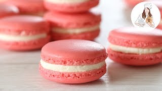 How to make Macarons  Perfect Macaron Recipe [upl. by Isteb198]