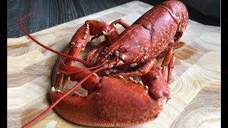 LOBSTER  How To Cook and Prepare a Live Lobster [upl. by Sulihpoeht689]