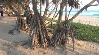 Sri Lanka  Koggala Beach Hotel [upl. by Cohn]