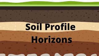 Soil Profile and Soil Horizons [upl. by Dickens]