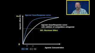 Agonist DR Curves with Competitive and Noncompetitive Antagonist [upl. by Burley]