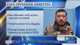 Alleged sex offender caught entering US [upl. by Vally673]