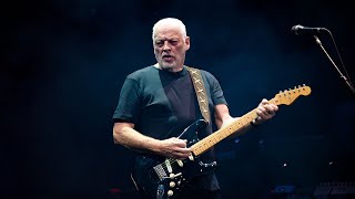 David Gilmour  Comfortably Numb Live In São Paulo Brazil [upl. by Liagaba]