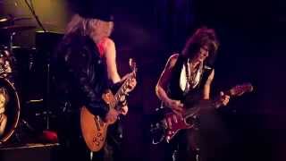 Aerosmith  quotDude Looks Like A Ladyquot Live 2014 [upl. by Akenet]