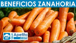 8 Propiedades y Beneficios de la Zanahoria  QueApetito [upl. by Noelopan]