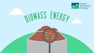 Renewable Energy 101 How Does Biomass Energy Work [upl. by Antonius]