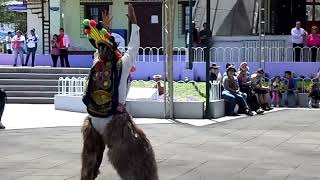 Danza tipica en la mitad del mundo quotEl Diablo Humaquot [upl. by Lydon455]