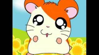 Hamtaro Japanese theme Song [upl. by Rebak]