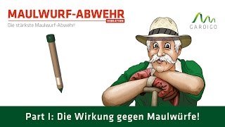 Maulwurf  Ameisen  Abwehr Vibration Teil 1 [upl. by Tinya]