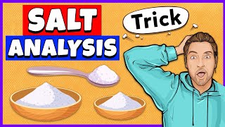 Salt Analysis Class 12 Practical [upl. by Onairot]