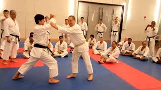 JION Kata  JKA HQ  Shihan Tatsuya Naka and Ogura Yasunori [upl. by Ycats570]