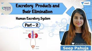 Excretory Products and their Elimination  L2  NEET 202223  Seep Pahuja [upl. by Irej]