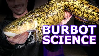 BurbotEelpout Tracking Study Results [upl. by Bille839]