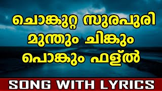 Padappattu  With Lyrics [upl. by Anemolif158]