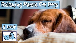 OVER 8 HOURS of Sleep Music for Dogs Help Your Dog Calm Down and Get to Sleep with our Playlist [upl. by Htir851]