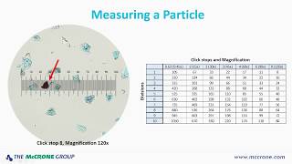 How to Calibrate Your Microscope [upl. by Innig707]