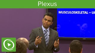 Plexus Structure amp Overview – MRCS  Lecturio [upl. by Nahpos]