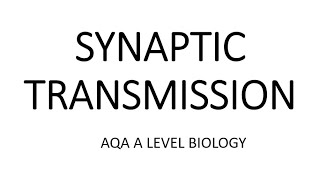 SYNAPTIC TRANSMISSION  AQA A LEVEL BIOLOGY  EXAM QUESTIONS RUN THROUGH [upl. by Areip468]