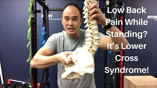 8 Standing Core Exercises For Back Pain DO THESE ANYWHERE [upl. by Emelyne]