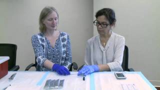 How to Use the Alere Filariasis Test Strip FTSEnglish 04 [upl. by Hueston471]