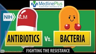 Antibiotics vs Bacteria Fighting the Resistance [upl. by Nnylekoorb]