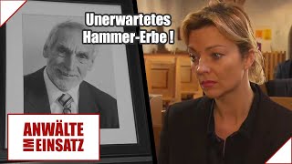 50000€ IN BAR und ein Haus😲💸 Extremes Erbe aus dem Nichts  12  Anwälte im Einsatz SAT1 [upl. by Aniral]