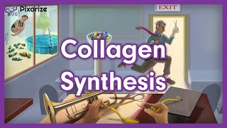 Collagen Synthesis USMLE Mnemonic Preview [upl. by Sink866]