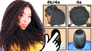 Natural Hair Types EXPLAINED In Detail w PICTURES 4C 4B amp 4A HAIR CHART [upl. by Cusack]