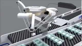 Omron Delta Robot Pick and Place System Solution [upl. by Raff684]