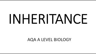 INHERITANCE  AQA A LEVEL BIOLOGY  EXAM QUESTIONS RUN THROUGH [upl. by Dahlia]